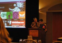 Generative Narratives and the Counterculture Psychiatrists