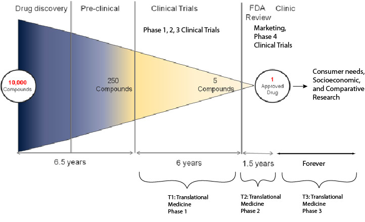 Where translational medicine fits in drug discovery and societal health impact