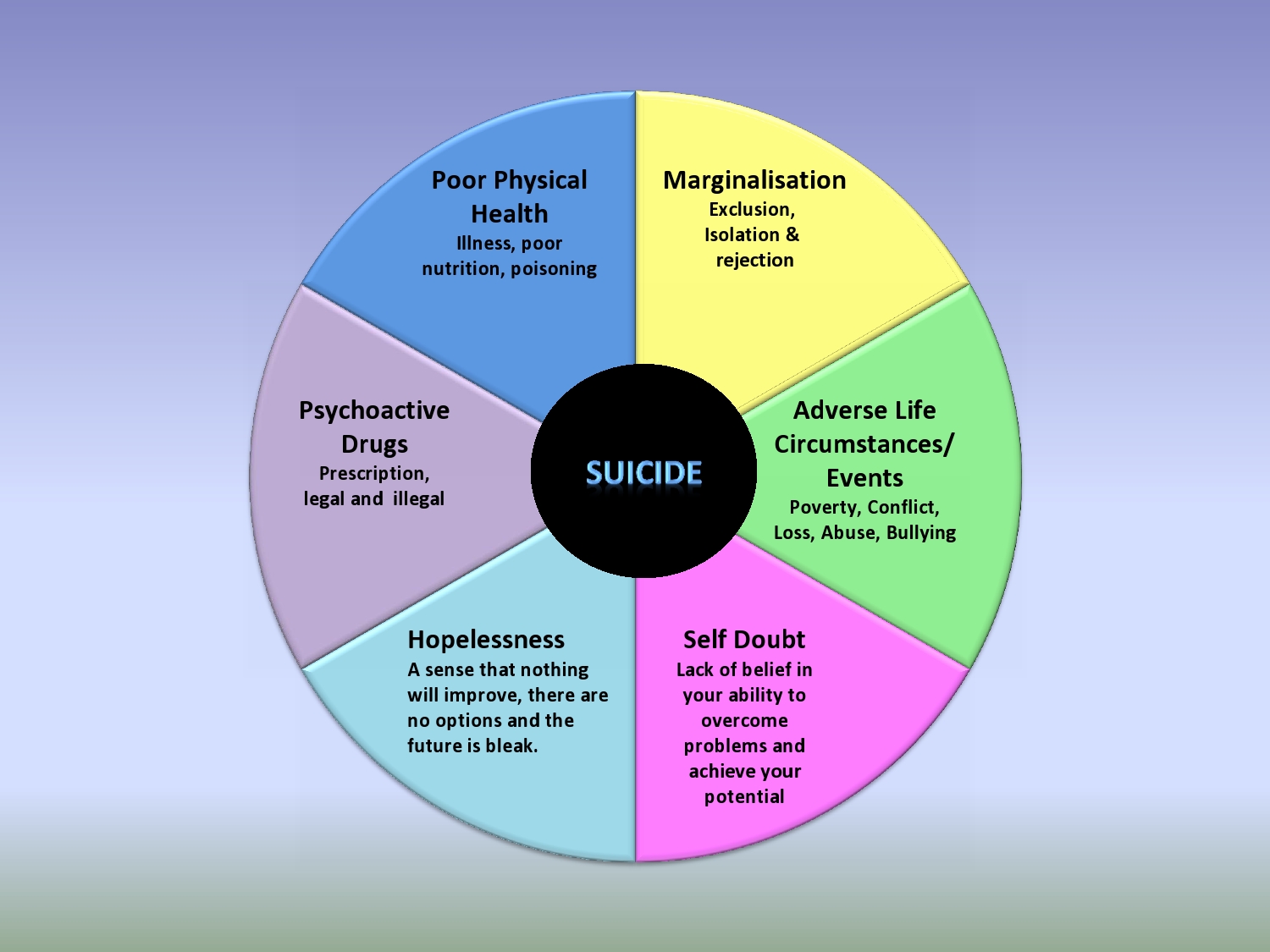 Suicide Model