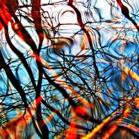 fabric threads