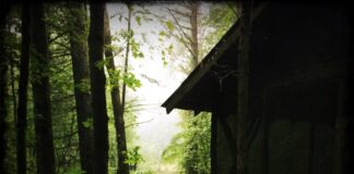 Sound Heals the Wild Beast