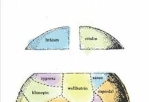 “The Vacuum of the Mind: A Self-Report on the Phenomenology of Autistic, Obsessive-Compulsive, and Depressive Comorbidity”