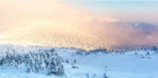 My Diagnosis of ADHD and the Downfall That Followed avalanche
