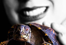 Simple Things turtle reason to live