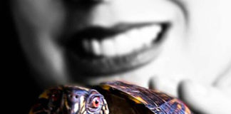 Simple Things turtle reason to live