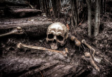 Beneath the Fog skeleton