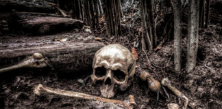 Beneath the Fog skeleton