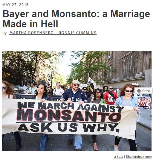 bayer and monsanto