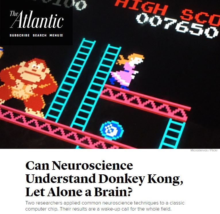 neuroscience donkeykong