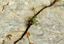 Falling Through the Cracks