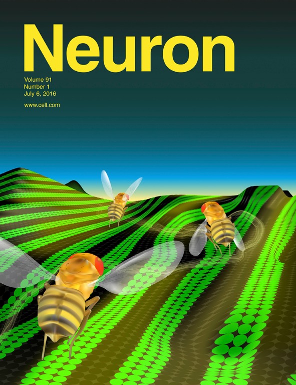 NEURON_COVER-1