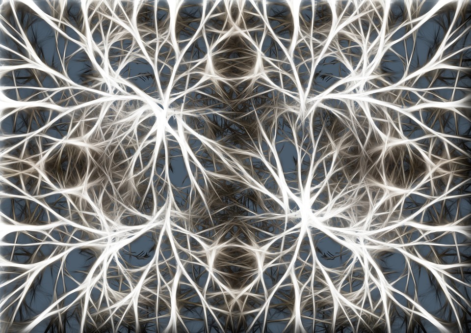 neurons-582054_960_720