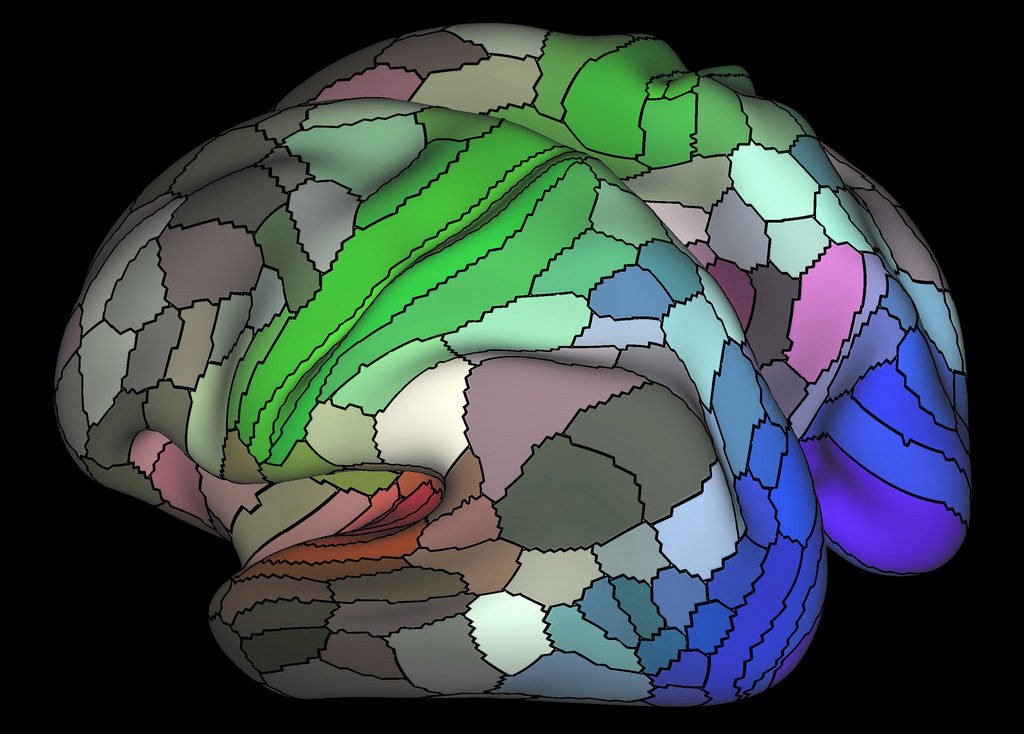 Credit: Matthew Glasser, Ph.D., and David Van Essen, Ph.D., Washington University