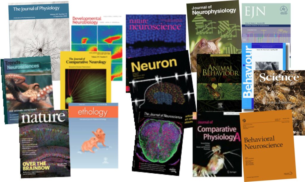 Journals in cognitive neuroscience are often of low power and may overstate their significance.
