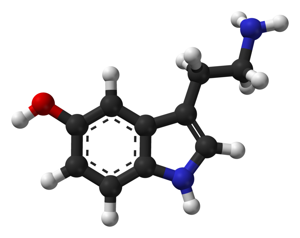 serotonin