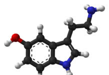 How Do Antidepressants Really âWorkâ?