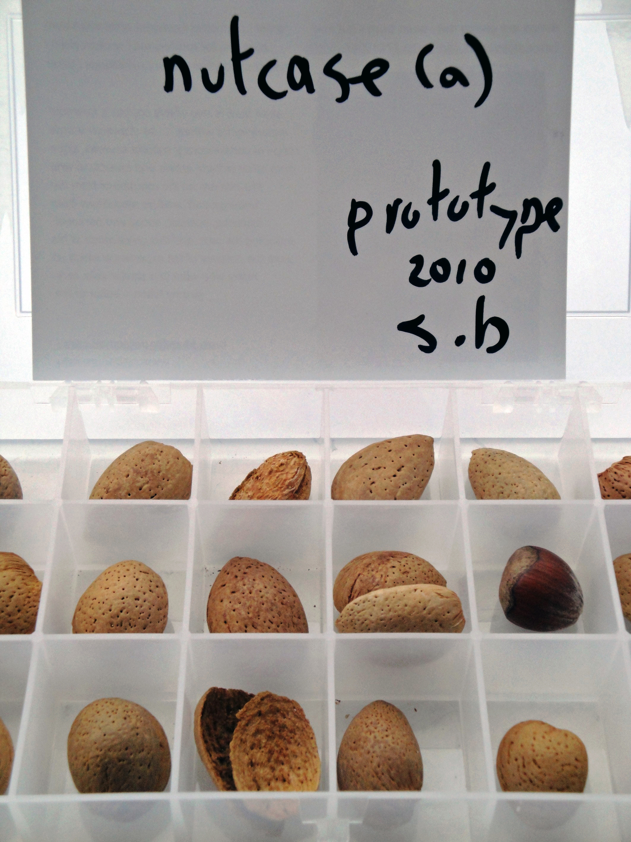 Varieties of nuts in a pill case