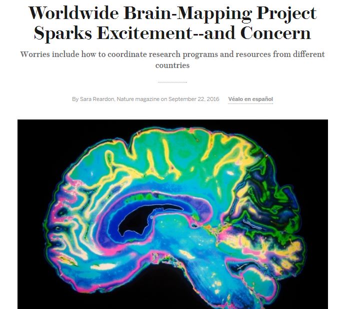 brain-mapping