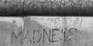 In a Post-Trump Election World: What is Insanity? Berlin Wall