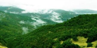 “Is Time Outdoors the Key to Helping Veterans Overcome PTSD?”