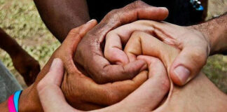 Collaborative Network Approach