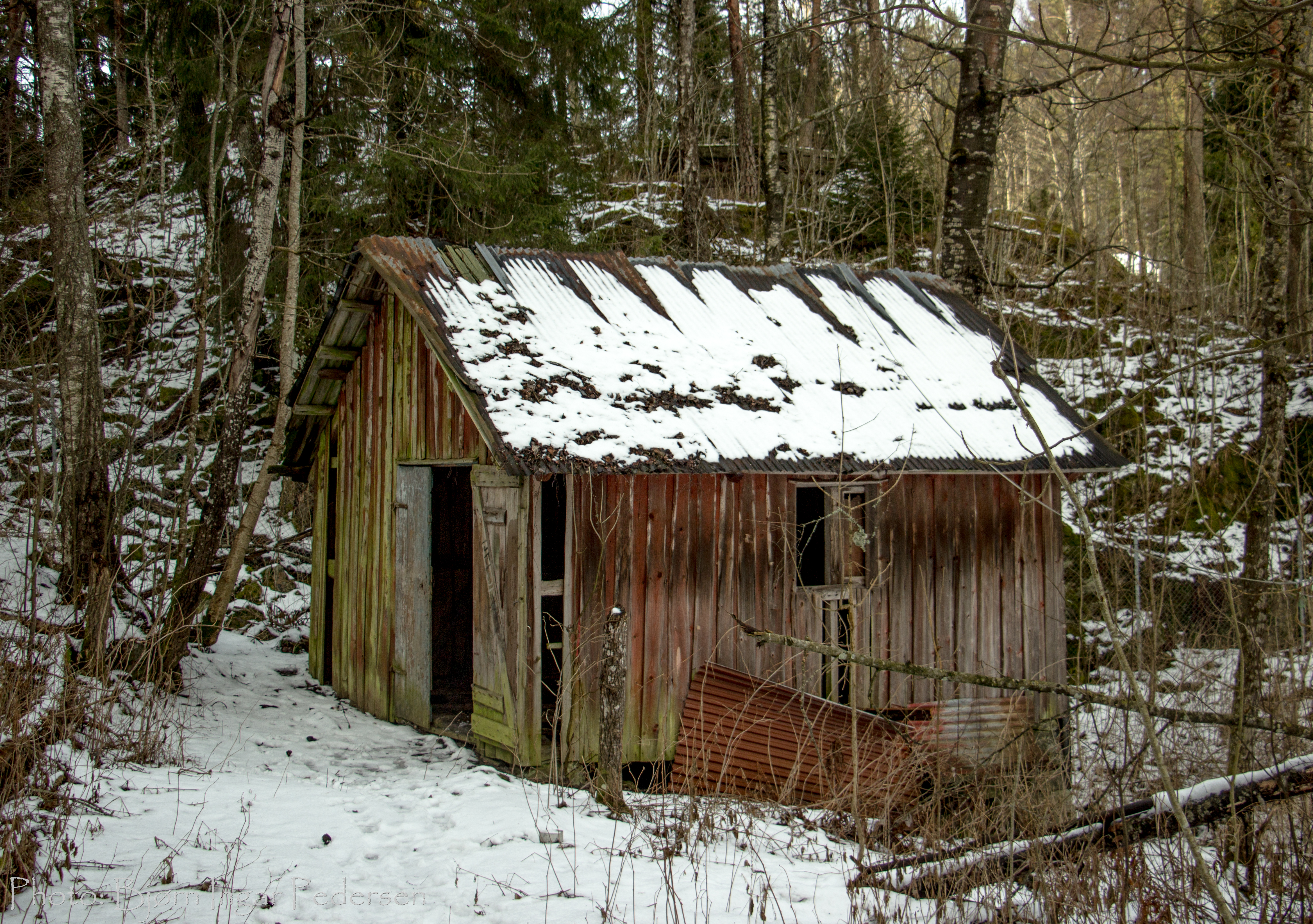 A photo of a run down shack in the woods
