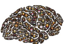 “Study Links Nutrition to Brain Health and Intelligence in Older Adults”