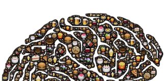 “Study Links Nutrition to Brain Health and Intelligence in Older Adults”