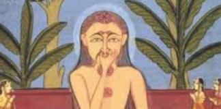 What is Holistic Psychiatry?