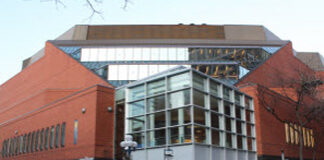 Learnings from Earthworms: The Ecstasy of an Antipsychiatry “Breakthrough”