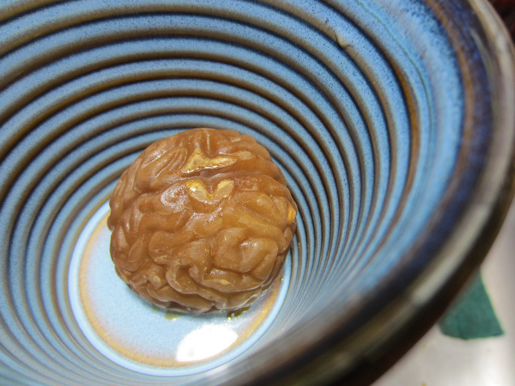 "Brains" Photo Credit: Flickr