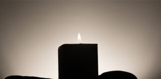 Surviving and Thriving After a Diagnosis of Schizophrenia