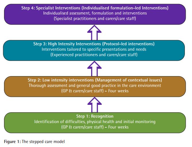 stepped care model to dementia