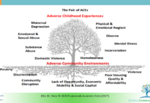 An American Public Health Crisis – the ‘Pair of ACEs’