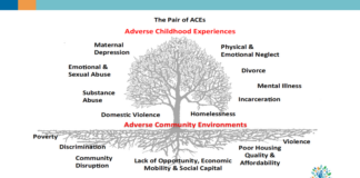 An American Public Health Crisis – the ‘Pair of ACEs’