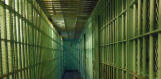 Viewing Addiction as a Brain Disease Promotes Social Injustice