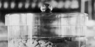 Debunking Myths About Creativity and the Brain