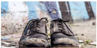“Not Not Guilty: My Brother, Schizophrenia, and the State of Illinois”