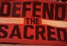 Disobedience: What Can We Risk?