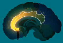 DARPA’s Brain Chip Implants: Breakthrough or Total Disaster?