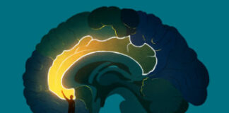 DARPA’s Brain Chip Implants: Breakthrough or Total Disaster?