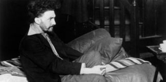 The Bughouse: the Poetry, Politics, and Madness of Ezra Pound