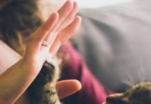 The Role of Pets in Supporting People Living with Mental Distress