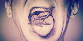 Why I Don’t Like the Idea that Mental Disorder is a Disease