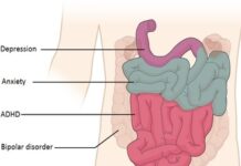 Optimizing Mental Wellness Through Nutrient Therapy: A Gastroenterologist’s Perspective