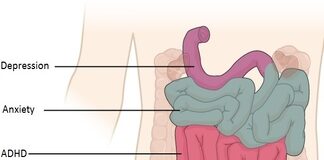 Optimizing Mental Wellness Through Nutrient Therapy: A Gastroenterologist’s Perspective