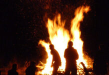 Burn Baby Burn (Psychopharmacology Part 3)