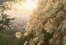 Spirituality and ‘Mental Illness’