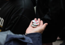 Providing Trauma Informed Brief Counseling to College Students