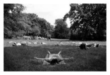 Added Evidence for Yoga for Major Depression